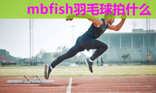 mbfish羽毛球拍什么